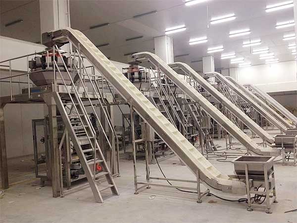 智能化全自動速凍食品蜜桃TV在线观看视频提升企業生產效率